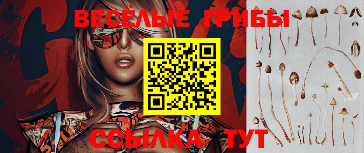 Галлюциногенные грибы мицелий  Вход с VPN  Галлюциногенные грибы Psilocybine cubensis  Петропавловск-Камчатский 